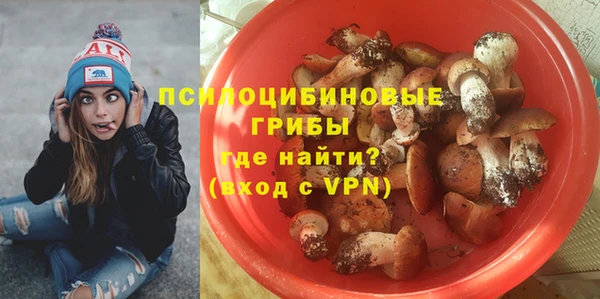 MESCALINE Корсаков