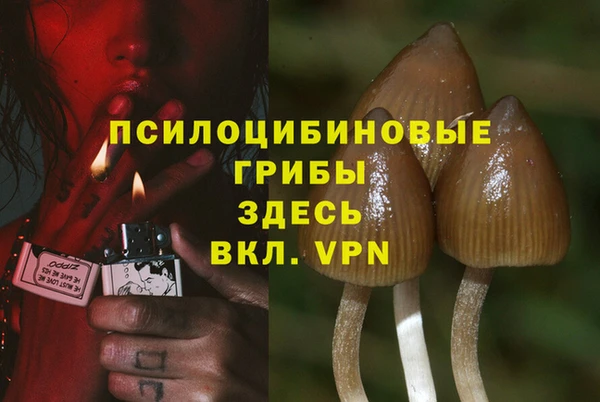MESCALINE Корсаков