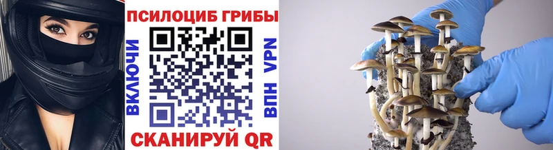 Купить закладки  Белокуриха  Псилоцибиновые грибы мухоморы 